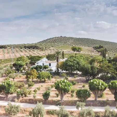 Cortijo Don Simon