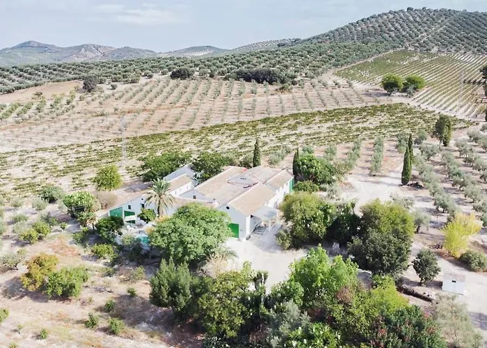 Cortijo Don Simón *