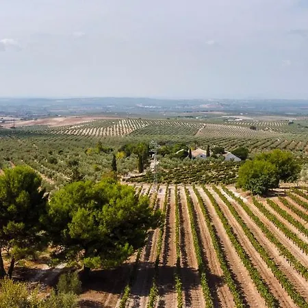 Cortijo Don Simon Ferienhaus *