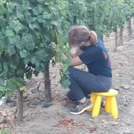 Ferienhaus Cortijo Don Simon *