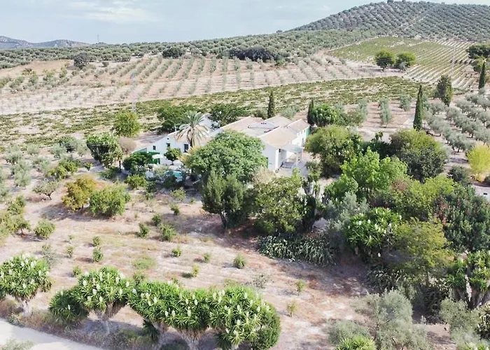 Cortijo Don Simon בית נופש *