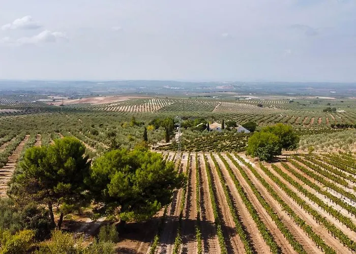 Cortijo Don Simon Vakantiehuis *