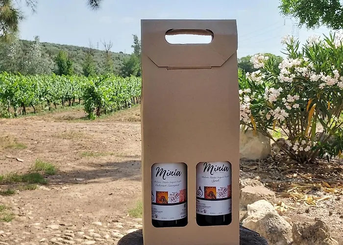 Cortijo Don Simon Σπίτι διακοπών