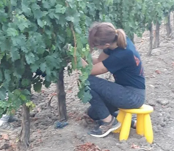 Σπίτι διακοπών Cortijo Don Simon *